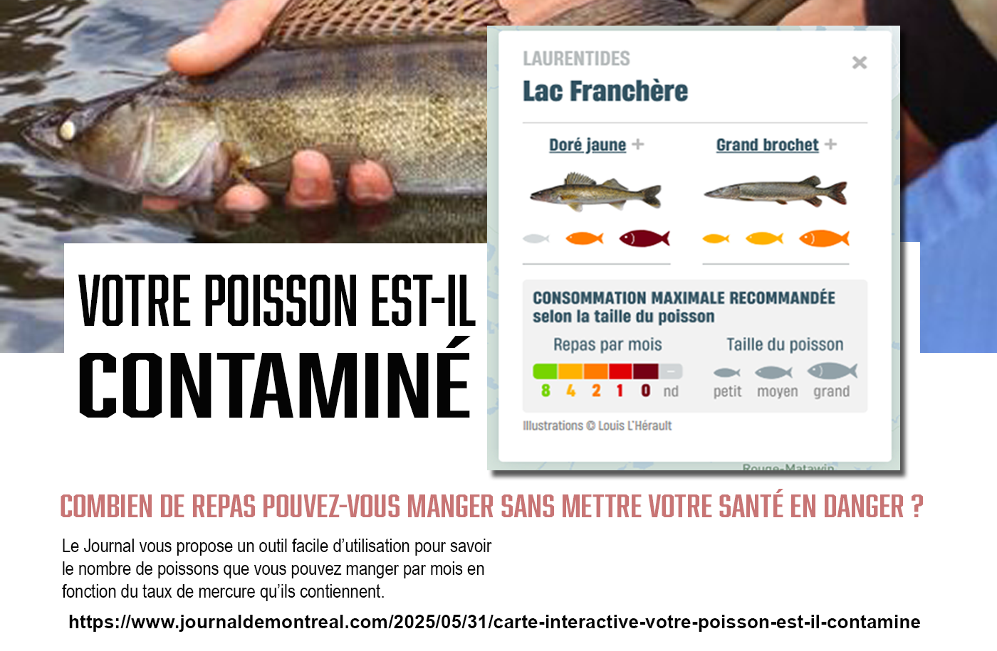 mercure franchere