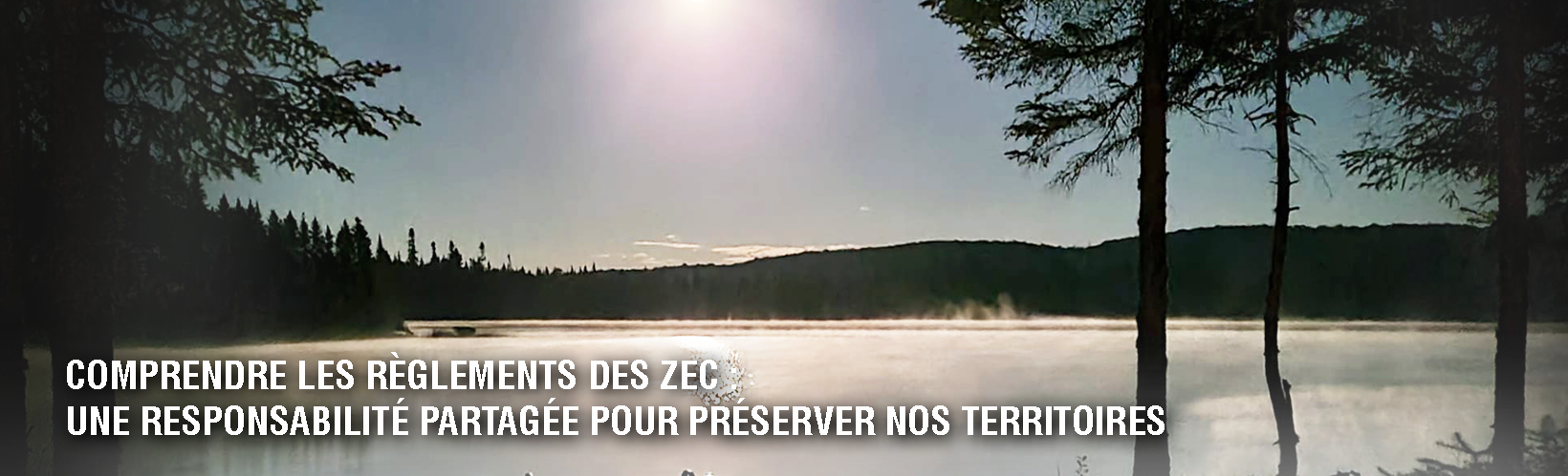 entete article reglements